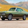 Classic Green Gto paint by numbers