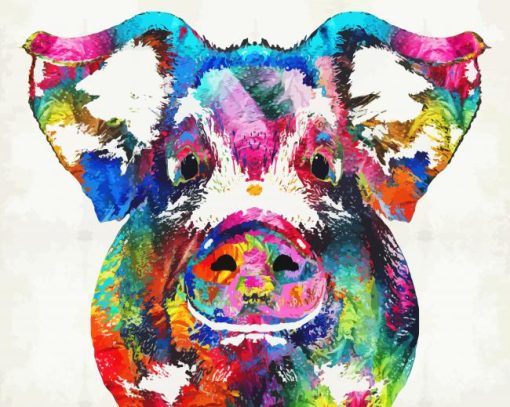 Colorful Pig Paint By Number