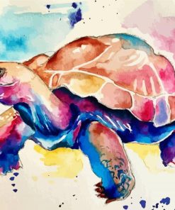 Colorful Tortoise paint by numbers