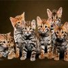 Cute Bengal Kitties paint by numbers