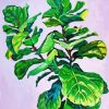 Fiddle Leaf Fig paint by numbers