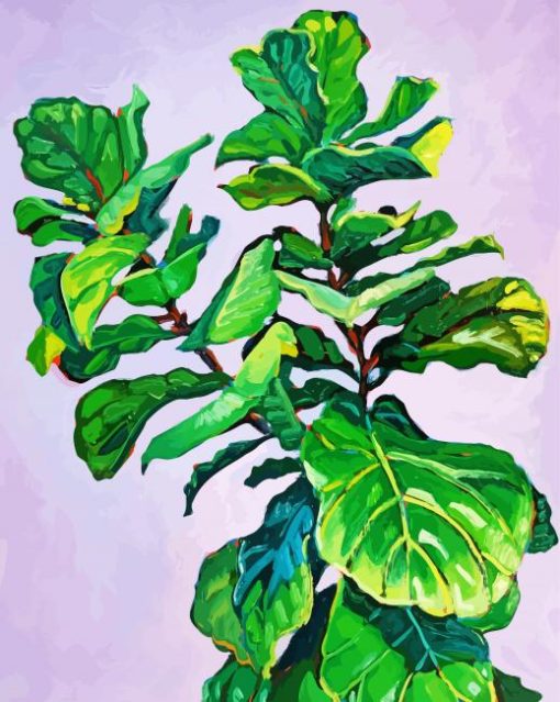 Fiddle Leaf Fig paint by numbers