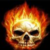 Fire Skull Paint By Number