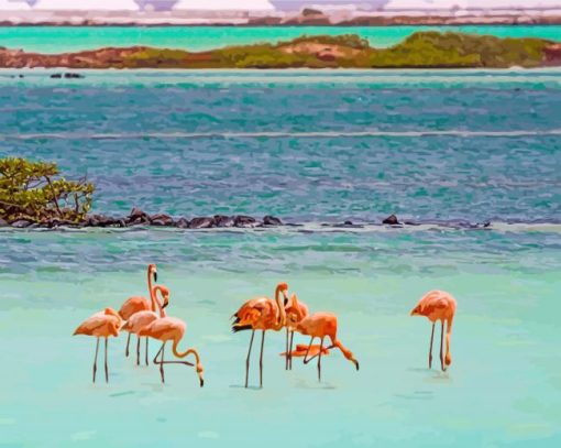 Flamingos In Bonaire Island paint by numbers