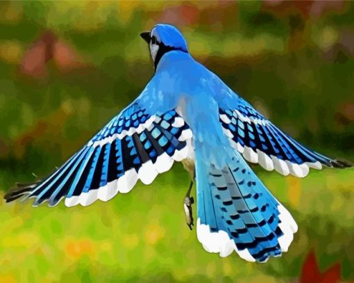 Flying Blue Jay paint by numbers