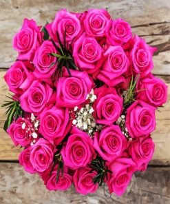 Fuchsia Roses Bouquet paint by numbers