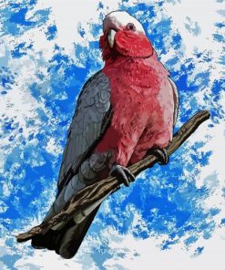 Galah Bird Paint By Number