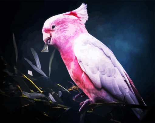 Pink Galah Bird Paint By Number