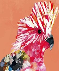 Galah Bird Pop Art Paint By Number