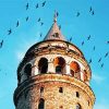 Galata Tower Surrounded By Birds paint by numbers