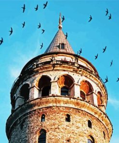 Galata Tower Surrounded By Birds paint by numbers
