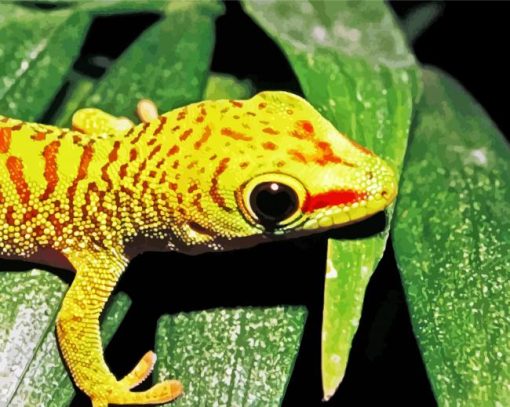 Gecko Reptile Paint By Number