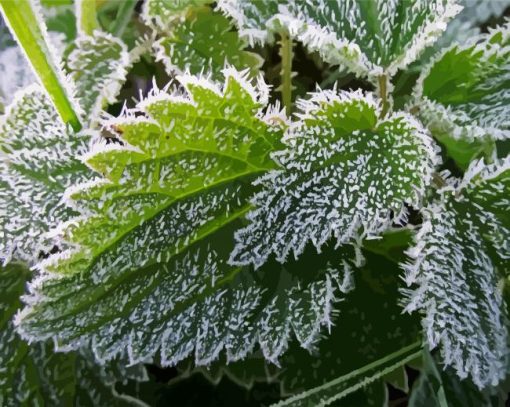 Green Leaves Frost paint by numbers