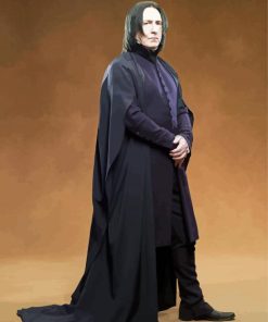 Harry Potter Snape Paint By Number