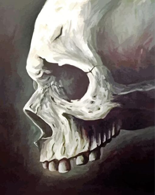 Bones Bones paint by numbers