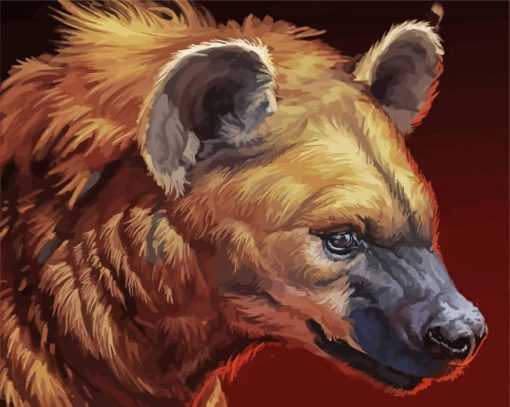 Hyena Head paint by numbers