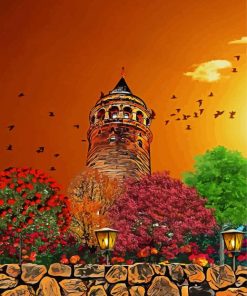 Istanbul Galata Tower Art paint by numbers