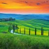 Italian Tuscany Cypress Trees paint by numbers