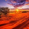 Africa Kalahari Desert Sunset Paint By Number