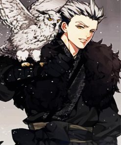 Kotaro Bokuto and Owl paint by numbers