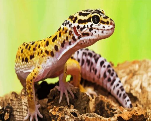 Leopard Gecko Lizard paint by numbers