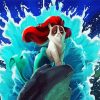 Mermaid Grumpy Cat Paint By Number