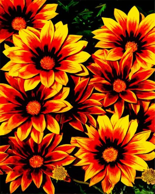 Orange Gazania Flowers paintby numbers
