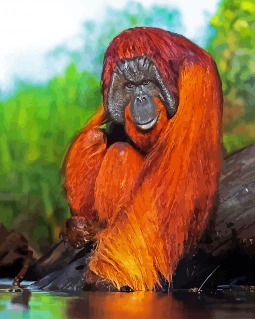 The Orangutan Ape Paint By Number