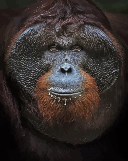 Orangutan Close Up Face Paint By Number