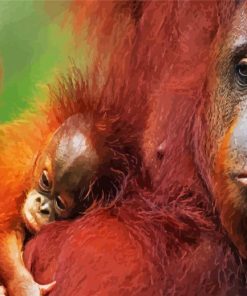 Orangutans Mother With Baby Paint By Number