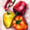 Peppers Vegetable paint by numbers