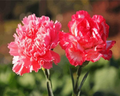 Pink Carnation paint by numbers