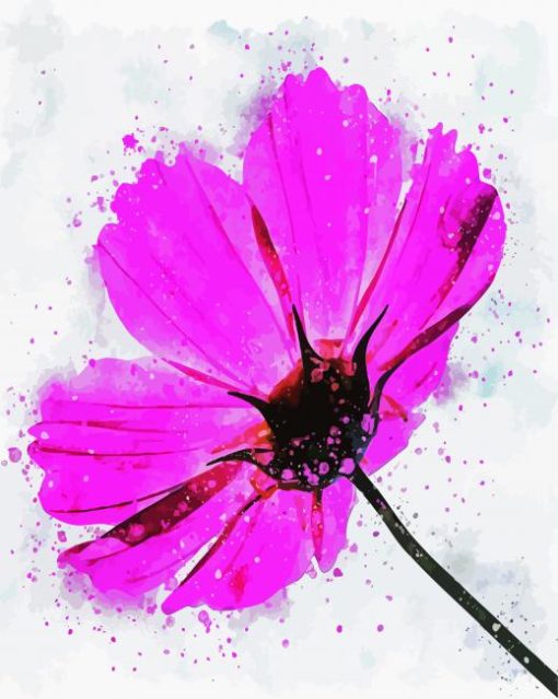 Pink Cosmos Art paint by numbers