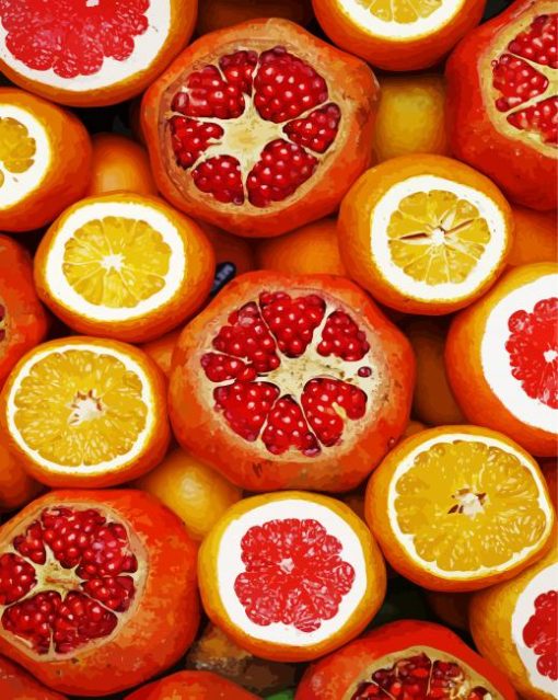 Pomegranate And Orange Citrus paint by numbers