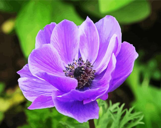 Purple Anemone paint by numbers