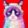 Rainbow Grumpy Cat Paint By Number