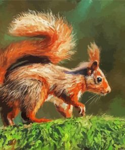 Red Squirrel On Branch paint by numbers