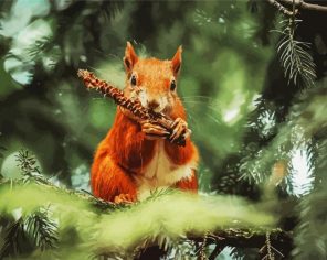 Red Squirrel paint by numbers