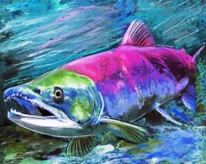 Salmon Fish paint by numbers