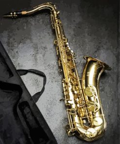 Saxophone Musical Instrument paint by numbers