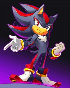 Shadow Sonic Paint By Number