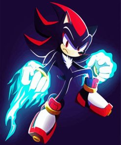 Shadow The Hedgehog Paint By Number