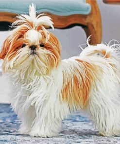 Shih Tzu Dog paint by numbers