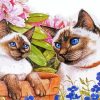 Siamese Cats And Flowers Paint By Number