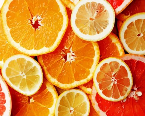 Sliced Citrus Fruit paint by numbers
