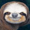 Sloth Face paint by numbers