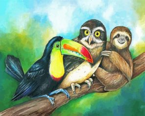 Sloth With Toucan And Owl paint by numbers
