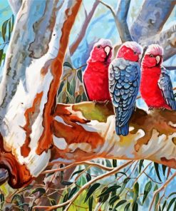 The Galah Cockatoo Birds paint by numbers