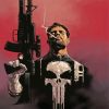 The Punisher paint by numbers