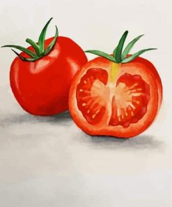 Tomatoes paint by numbers